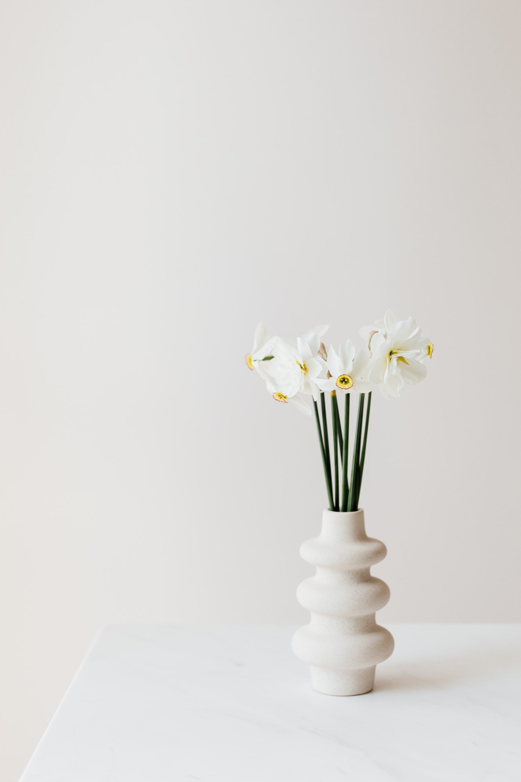 6 Reasons To Start Your Spring Cleaning